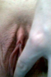 plump girl enjoys passionate foreplay